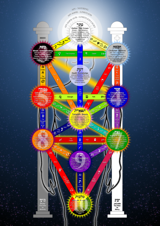 Tree_of_Life_2009_large.thumb.png.b267d6