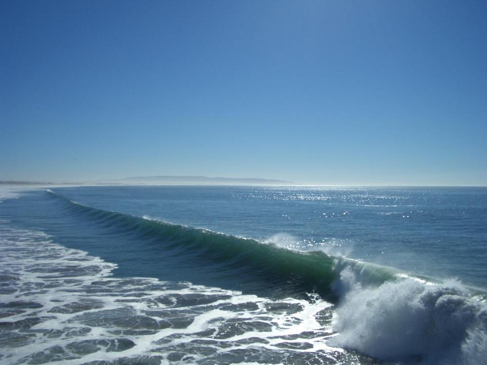 Pismo_wave.jpg