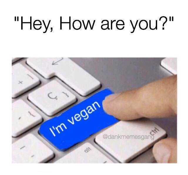 hey-how-are-you-il-im-vegan-atdankmemesgan-9ZSiA.jpg