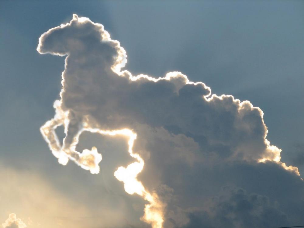 Sky_Horse+cloud.jpg