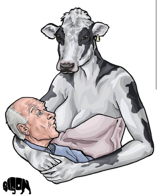 cow.jpg