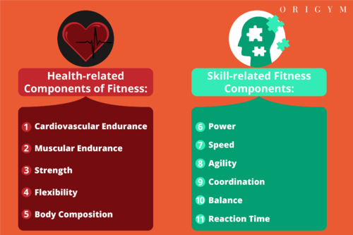 Training In The Gym For Optimal Health Health Fitness Nutrition 