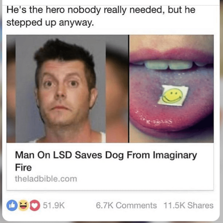headline-that-reads-man-on-lsd-saves-dog-from-imaginary-fire.png