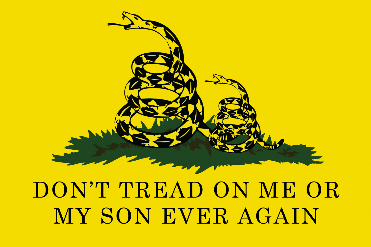 I to you ever again. Don t Tread on me либертарианство. Девиз либертарианцев. Либертарианский флаг. Змея don't Tread on me.