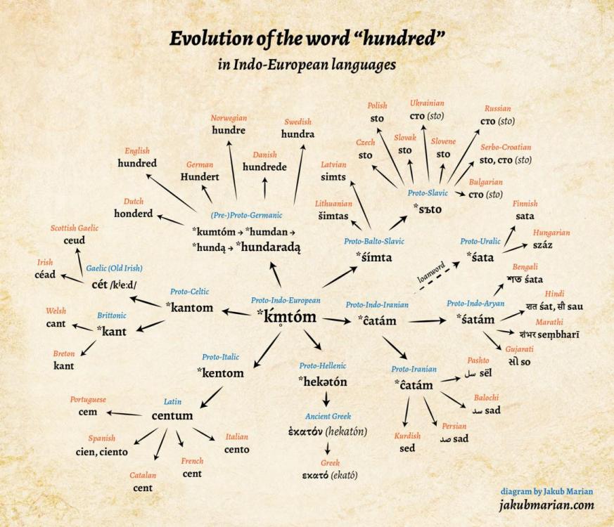  Proto  Indo  European  Language PIE 5th Millennium BC 