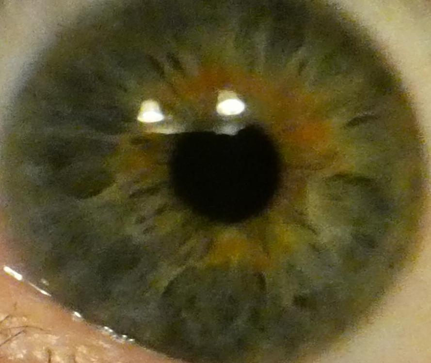 my eye 2.jpg