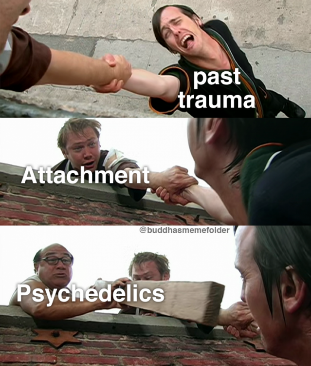 dealing with trauma.png