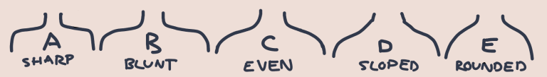 kibbe shoulders.png