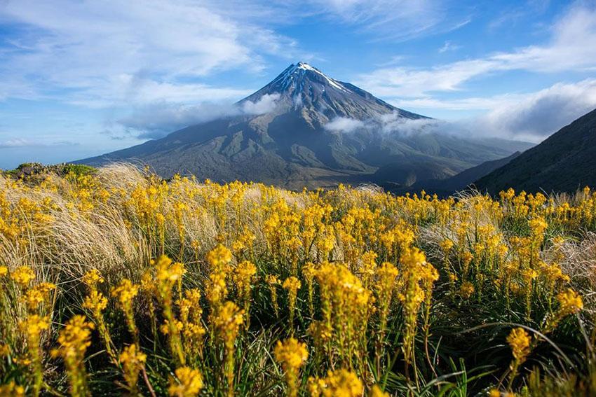 mount-taranaki.jpeg