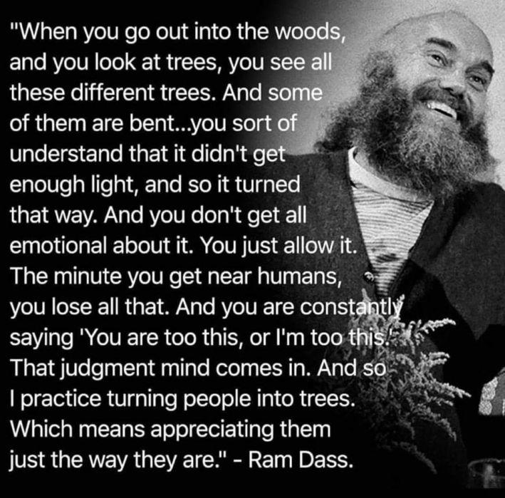 ram-dass-appreciate-trees-be-here-now-709x699.jpg