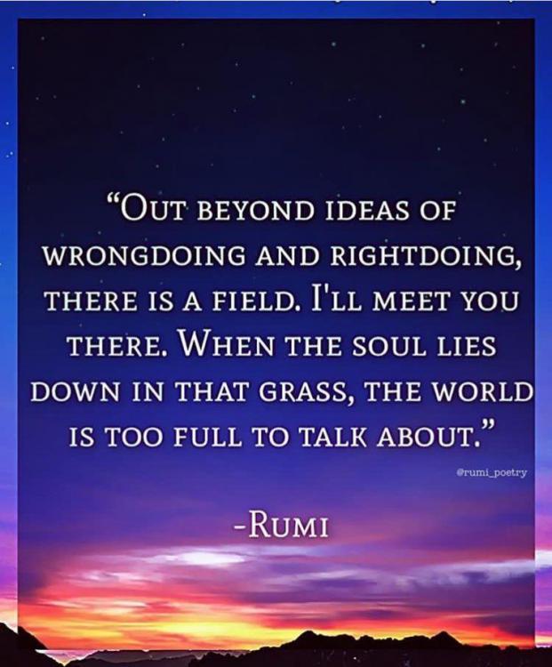 rumi_quote.thumb.jpg.7d48bc8b3c79da4700b21f87f244829d.jpg