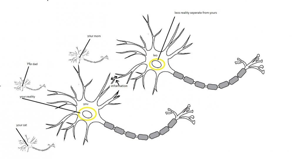 Postsynaptic-Cell.jpg