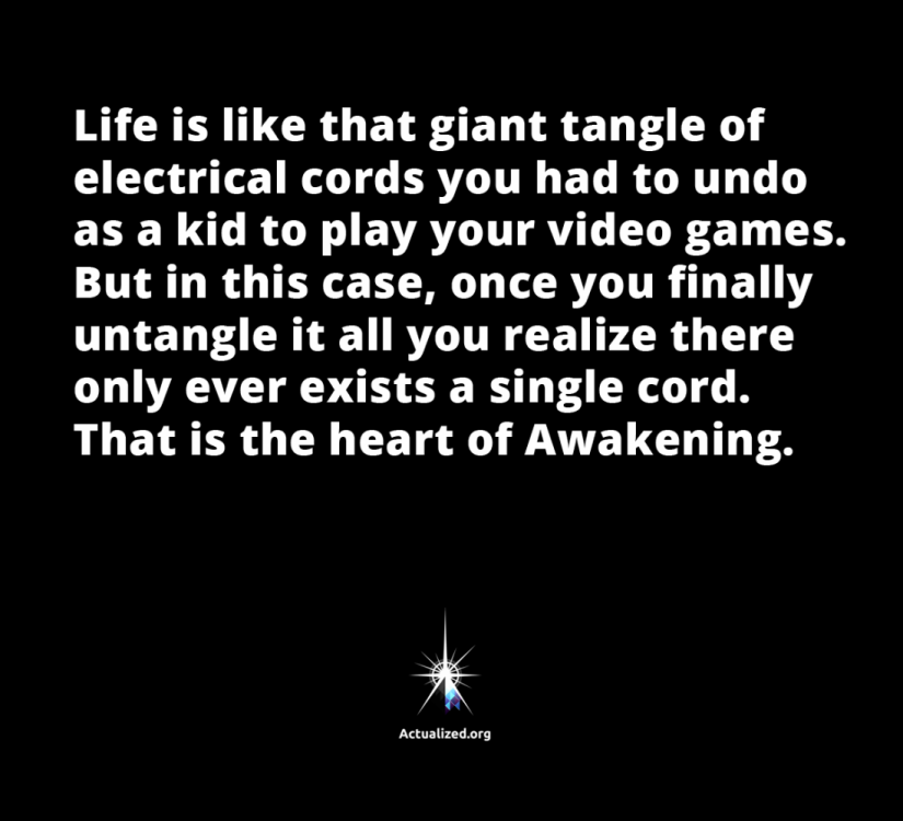 leo-quote-one-tangled-cord-01.png