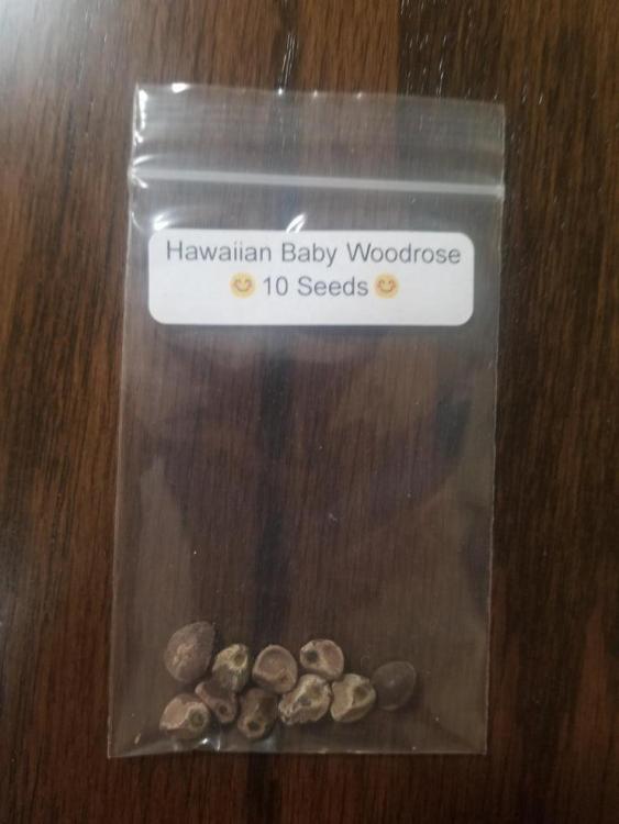 HBWR10seeds_740x.jpg