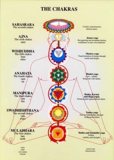 the chakras.jpg