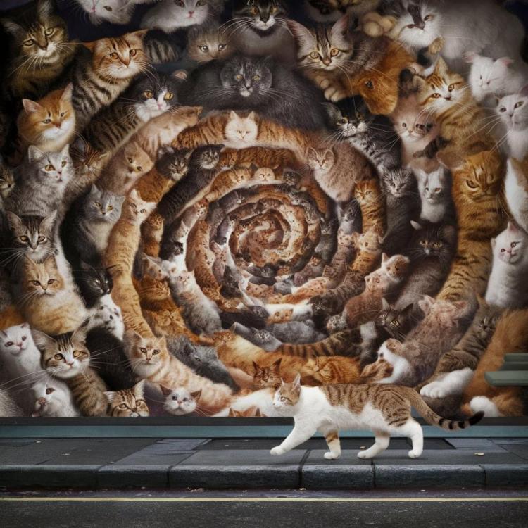 a-whimsical-and-surreal-scene-featuring-cat-infini-fzsbeDn9Rkq7UhGX_DADUg-8h3qOlPkRjOP94D_emRKhQ.jpeg