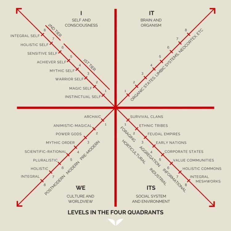 psychedelic quadrant.jpg