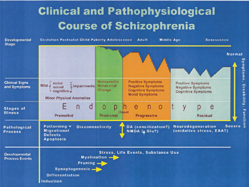 Clinical-and-pathophysiologic-course-of-schizophrenia-This-diagram-attempts-to-integrate.png