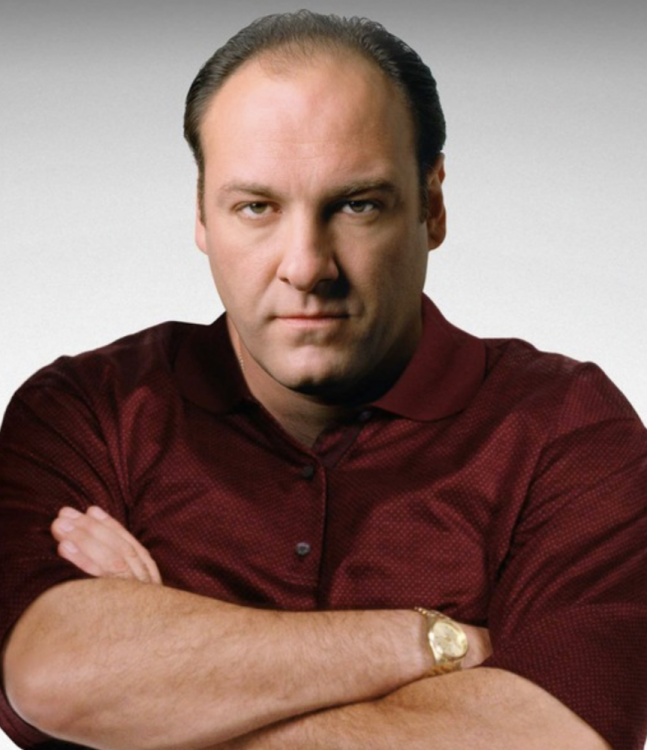 Tony_Soprano_Season_1.png