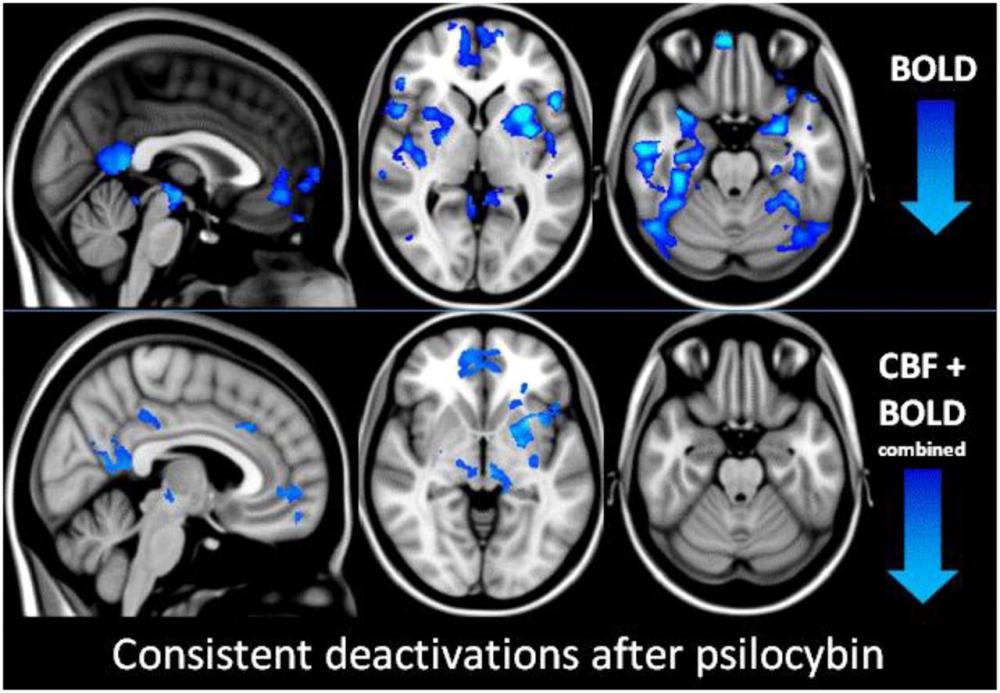 pnas.1119598109fig04.jpeg