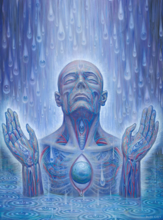 alexgrey.png