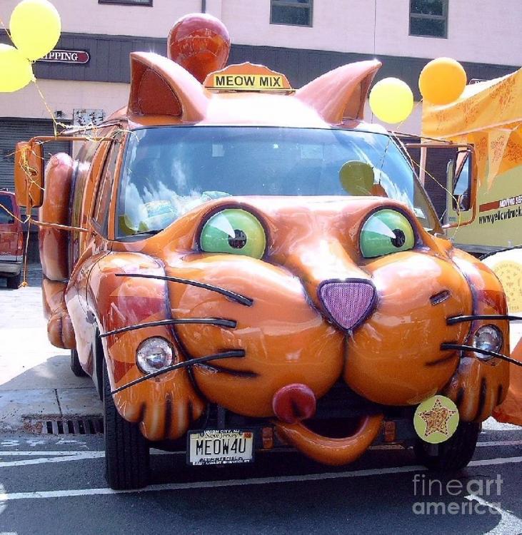 cat-car-meow-david-karasow.jpg