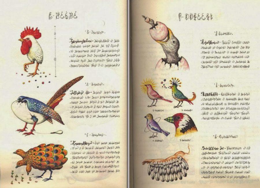 Codex-Seraphinianus-9-1024x742-e1506323620321.jpg