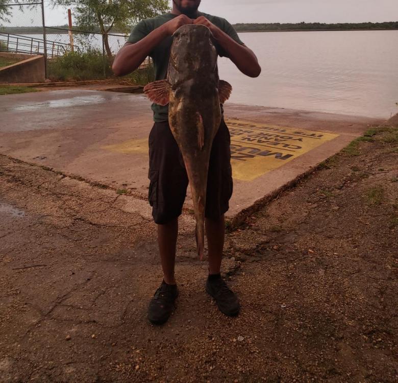 flathead catfish.jpg